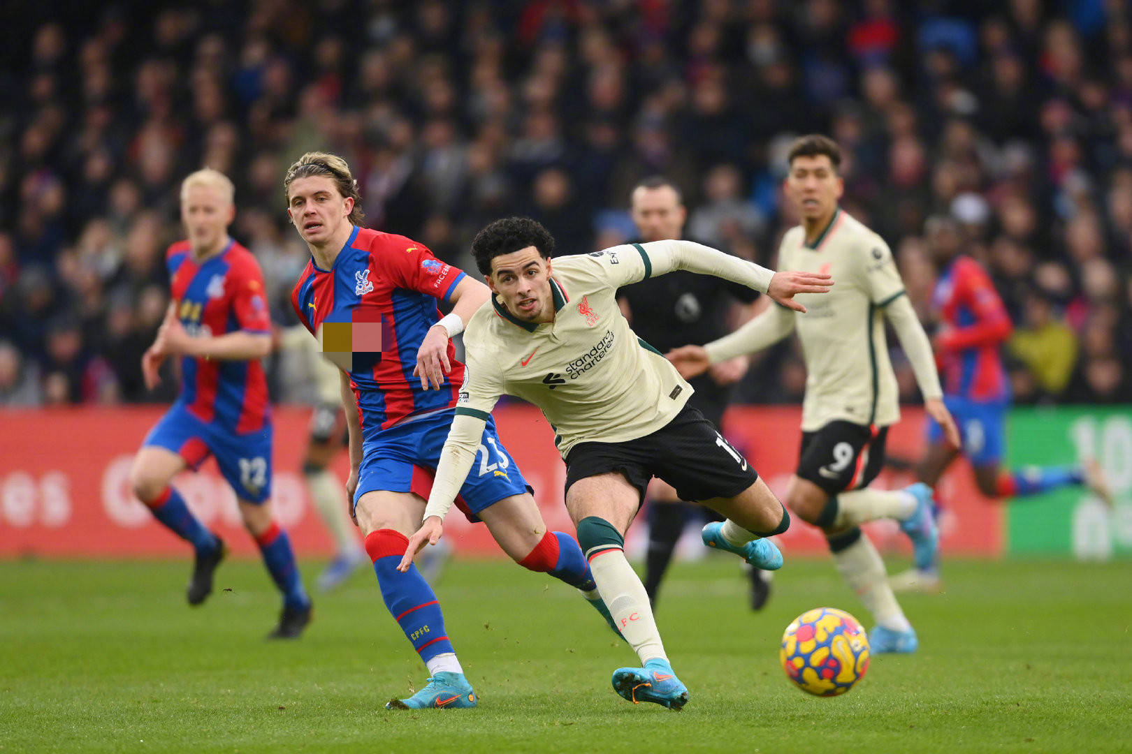 让我们细细 让我们细细